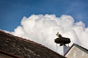 Podvečer v Rustu - městečku čápů