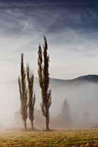 Ranní mlha ve Vojtíškově