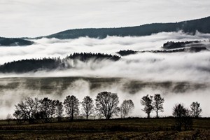 Mlžné ráno ve Vojtíškově