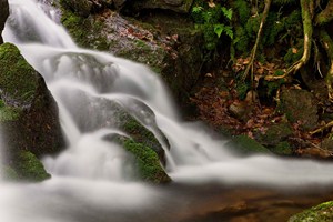 Jeden z bezejmených přítoků řeky Moravy