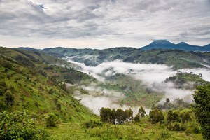 Ranní mlha v o oblasti south Bwindi v Ugandě