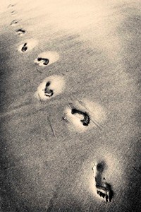 Stopy v písku