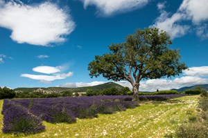 Okolí městečka Banon